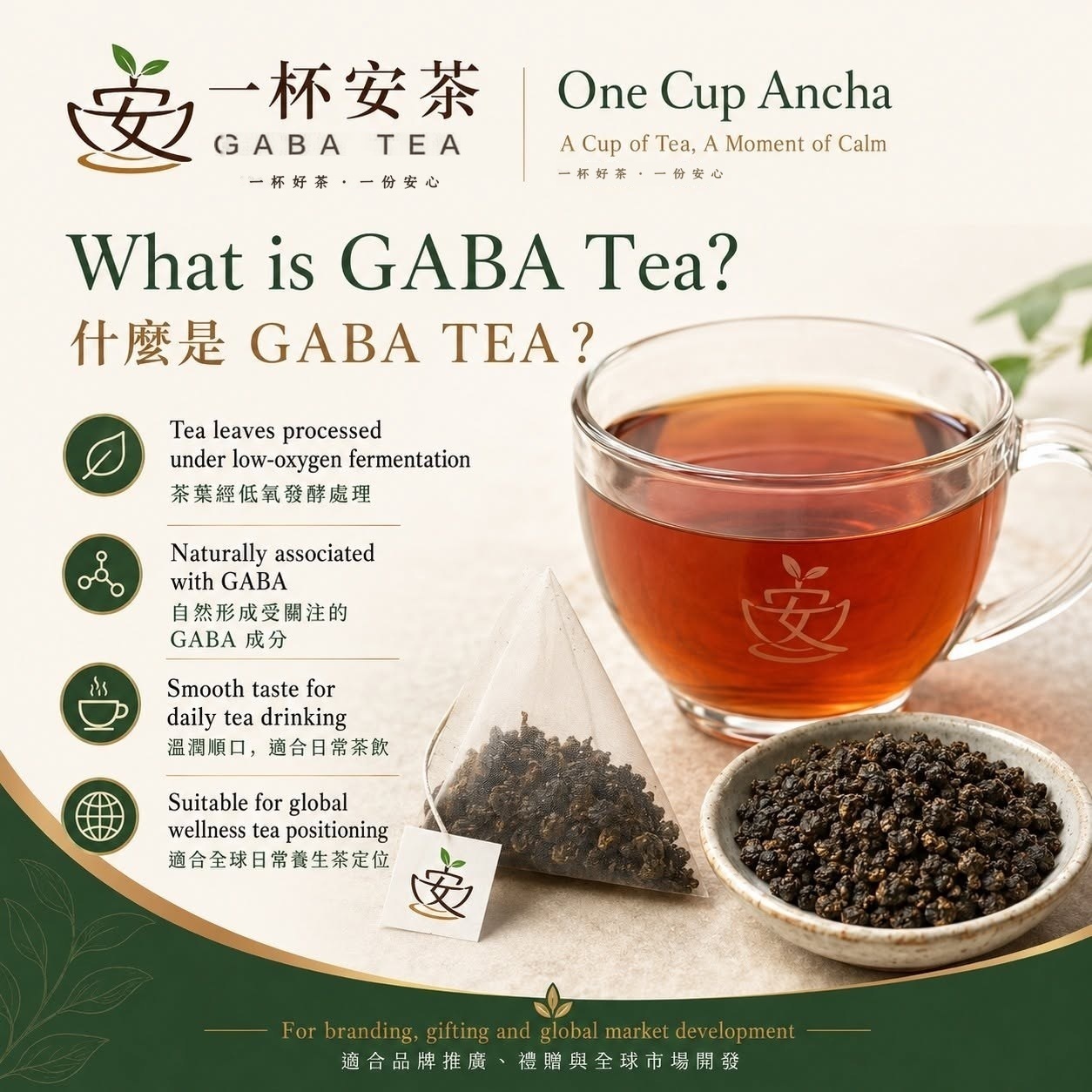 What is GABA Tea?什麼是 GABA 茶──茶葉經低氧發酵處理、自然形成受關注的 GABA 成分、溫潤順口適合日常茶飲、適合全球日常養生茶定位